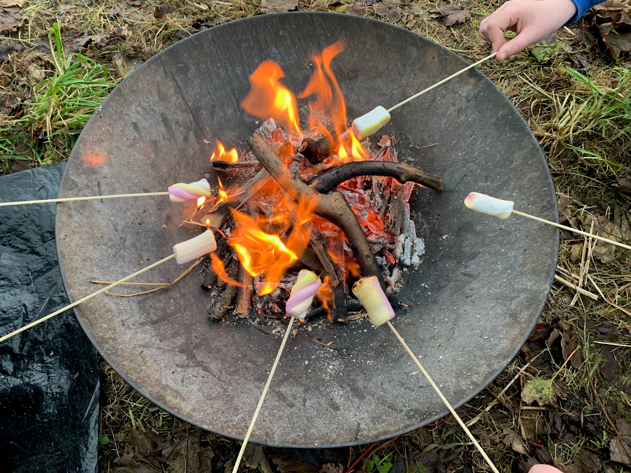 CAMPFIRE CLOSE UP.jpg